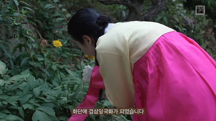 [서울=뉴시스] 유튜브 채널 '예서낭자' (사진= 유튜브 채널 '예서낭자' 캡처) 2024.9.5. photo@newsis.com *재판매 및 DB 금지