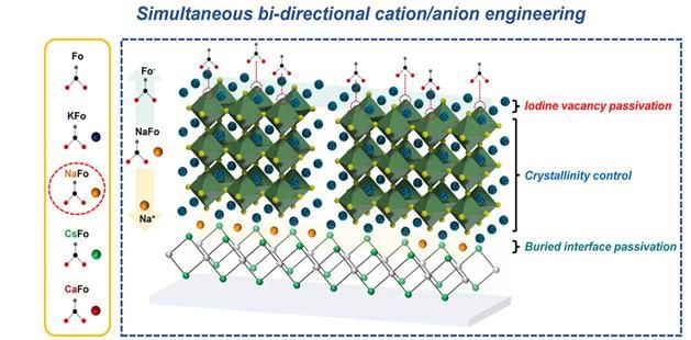 [서울=뉴시스] 양방향성 양이온/음이온 계면 엔지니어링 기술(Designed bi-directional cation/anion interfacial distribution)에 대한 모식도 (사진=고려대 제공) *재판매 및 DB 금지