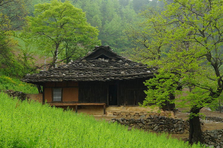 [삼척=뉴시스] 삼척 신리 너와집 모습. (사진=삼척시 제공) *재판매 및 DB 금지