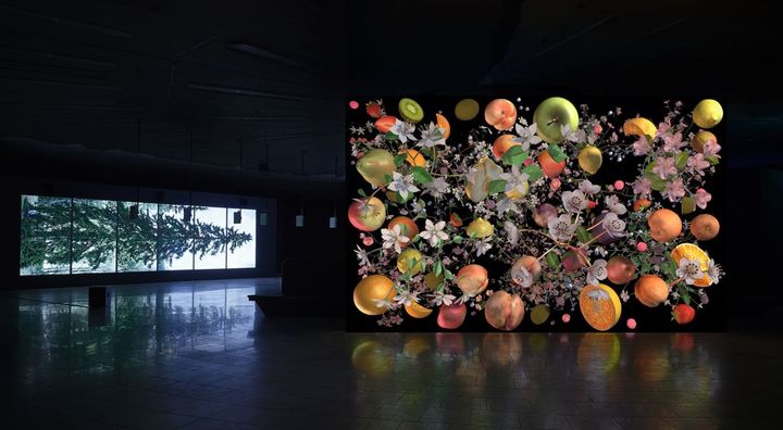 국립현대미술관, 뉴미디어 소장품전-아더랜드 *재판매 및 DB 금지