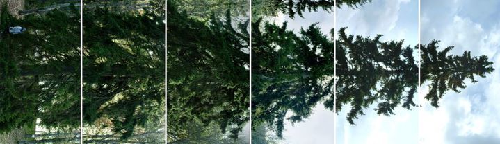 에이샤-리사 아틸라, 수평-바카수오라, 2011, 6채널 영상, 컬러, 사운드, 6분 3초, ed. 4_6, 국립현대미술관 발전 후원위원회 기증, 국립현대미술관 소장 *재판매 및 DB 금지