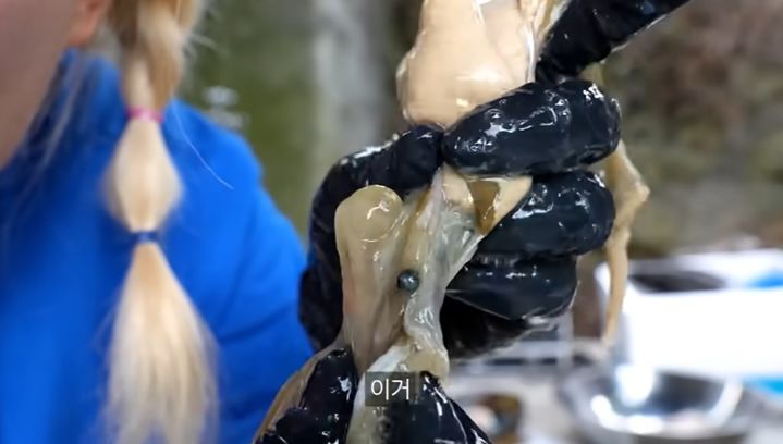 요리 유튜버 수빙수가 최근 키조개를 손질하다가 진주를 발견한 사실을 공개했다.(출처 : 수빙수 유튜브 채널). 2024.9.9&nbsp; *재판매 및 DB 금지