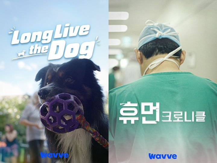 휴머니즘 담다…이욱정 PD, 웨이브와 다큐 6개 공개