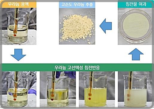 [대전=뉴시스] 우라늄 용액에서 침전반응을 통해 고순도 우라늄을 추출하는 과정.(사진=원자력연구원 제공) *재판매 및 DB 금지