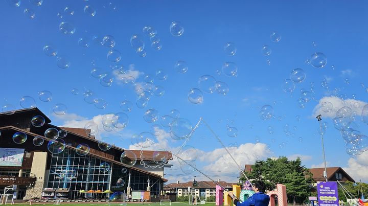 하이원리조트 키즈 원더랜드. *재판매 및 DB 금지