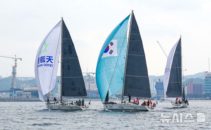 [포항=뉴시스] 송종욱 기자 = 지난 11일 경북 포항시 북구 영일대 앞바다에서 ‘2024 원동컵 국제요트대회 포항 경기'가 열렸다. 사진은 '2024 원동컵 국제 요트대회 포항 경기' 모습. (사진=포항시 제공) 2024.09.12. photo@newsis.com