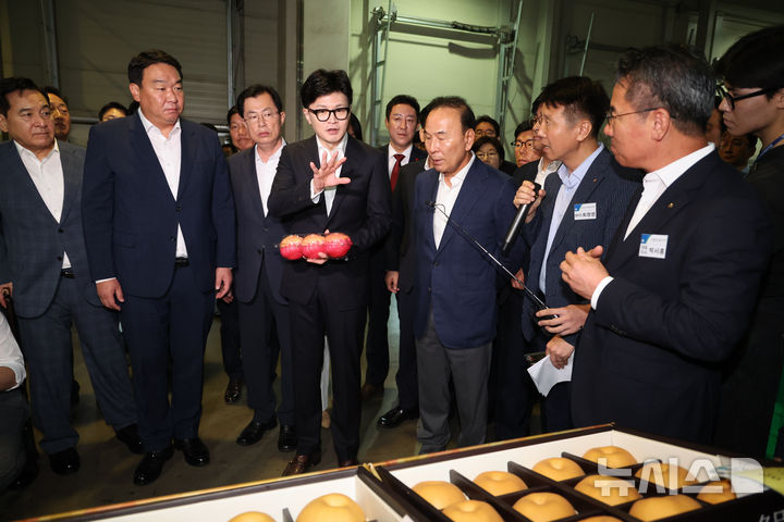 [안성=뉴시스] 김금보 기자 = 한동훈 국민의힘 당대표가 12일 경기도 안성시 농협안성농식품물류센터에서 최고위원회의에 앞서 추석 성수품 출하 현장을 시찰하고 있다. 2024.09.12. kgb@newsis.com