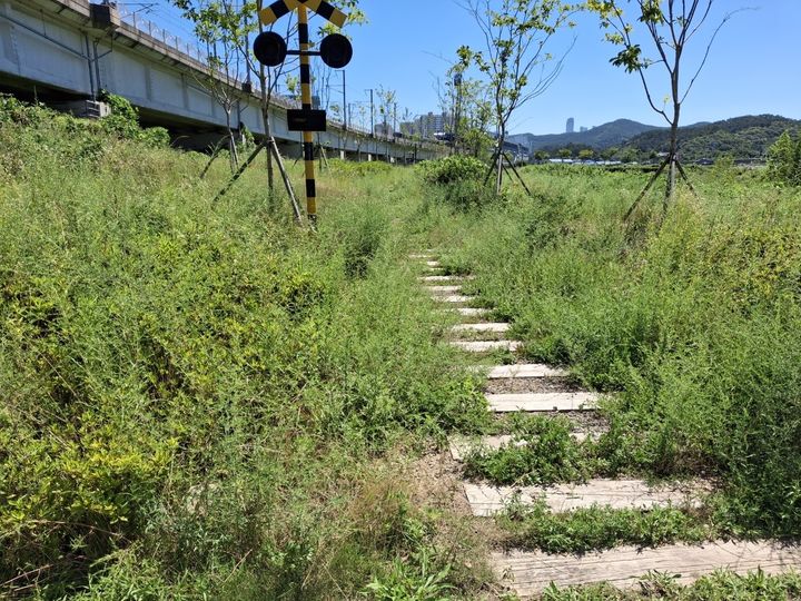 [부산=뉴시스] 오시리아 관광단지 경관녹지 (사진=부산도시공사 제공) 2024.09.13. photo@newsis.com *재판매 및 DB 금지