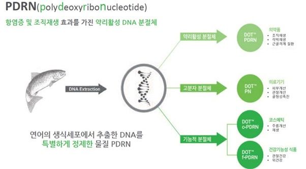 PDRN 성분 설명.(사진=파마리서치, BNK투자증권 제공) *재판매 및 DB 금지