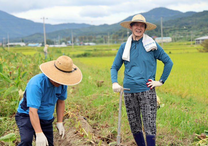 [서울=뉴시스] 고승민 기자 = 조국 조국혁신당 대표와 박웅두 곡성군수 재보궐선거 후보가 지난 16일 전남 곡성군 겸면에서 토란 수확 일손 돕기를 하고 있다. (사진=조국혁신당 제공) 2024.09.18. photo@newsis.com *재판매 및 DB 금지