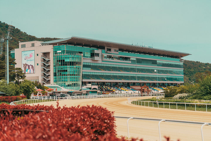 [부산=뉴시스] 렛츠런파크 부산경남 전경. (사진=한국마사회 제공) 2024.09.19. photo@newsis.com *재판매 및 DB 금지