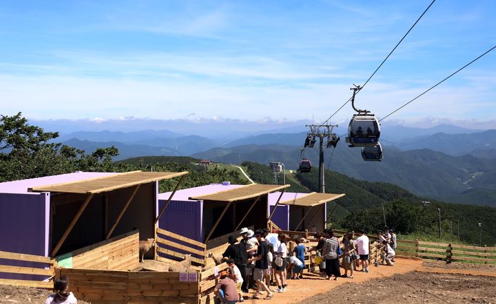하이원 운탄고도 케이블카와 하이원 구름아래 동물농장. *재판매 및 DB 금지