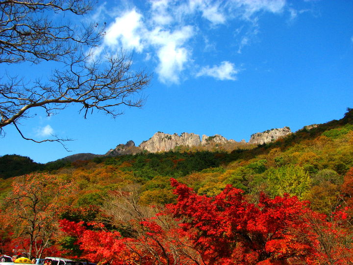 단풍 절정기 내장산국립공원, 탐방객 예약제가 실시되는 구간 중심 서래봉이 보인다.  *재판매 및 DB 금지