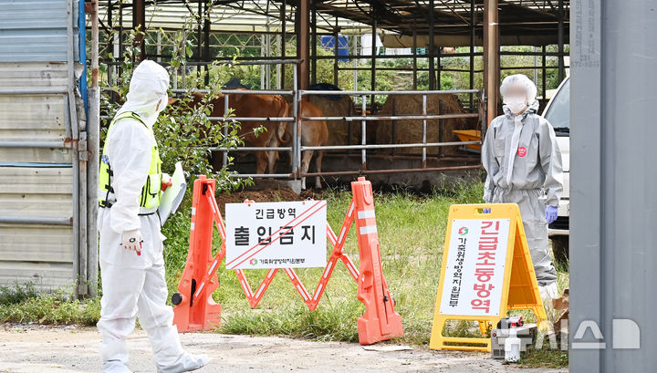 [여주=뉴시스] 김종택 기자 = 소 바이러스성 질병인 럼피스킨병이 발생한 경기도 여주시 한 한우농장에서 19일 방역 관계자들이 외부인 출입을 통제하고 있다.   정부는 최근 두 달 새 가축전염병인 럼피스킨이 네 차례 발생하자 검사와 소독 등 방역 관리를 강화하기로 했다. 2024.09.19. jtk@newsis.com