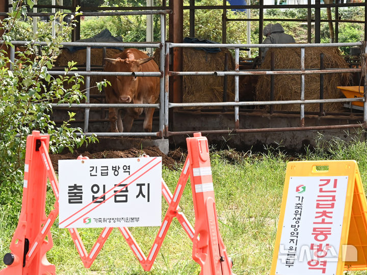 [여주=뉴시스] 김종택 기자 = 소 바이러스성 질병인 럼피스킨병이 발생한 경기도 여주시 한 한우농장에서 19일 방역 관계자들이 외부인 출입을 통제하고 있다. 2024.09.19. jtk@newsis.com