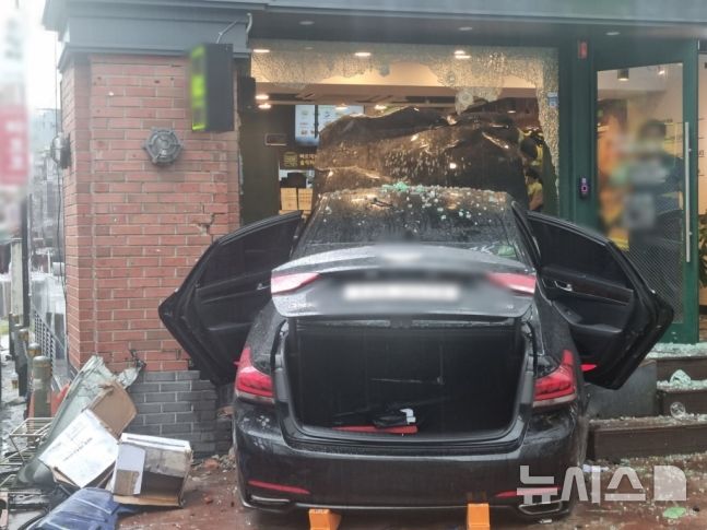 "밟아도 안 나간다"…정부, 고령자 페달 오조작 방지 장치 지원