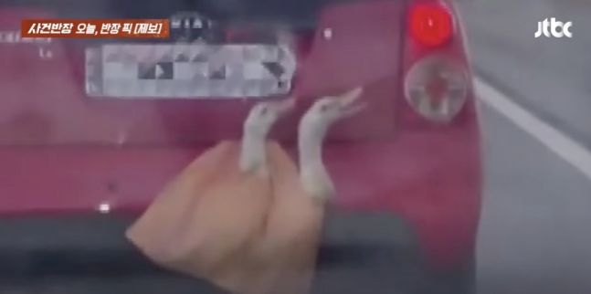 [서울=뉴시스] 23일 JTBC '사건반장'은 지난 14일 경기 화성시 한 고속도로에서 트렁크 문에 자루를 끼운 채 달리고 있는 빨간 차량 영상을 공개했다. (사진=JTBC 보도 갈무리) *재판매 및 DB 금지
