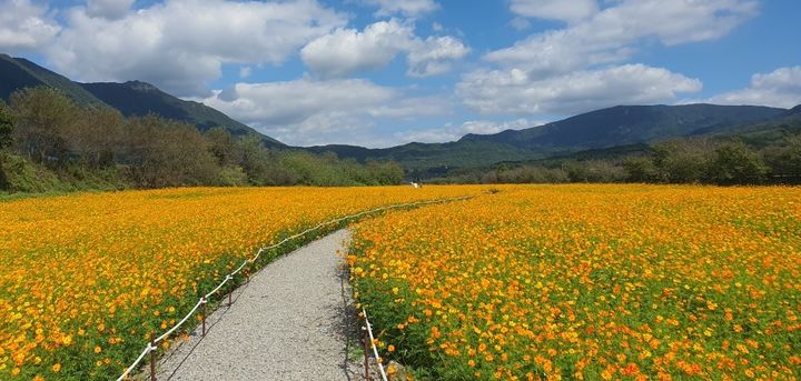 [거창소식]군, 탄소중립녹색성장수립계획 중간보고회 등