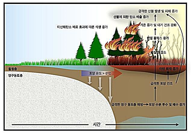 [대전=뉴시스] 가속화된 지구온난화로 인해 급격한 영구동토층 해빙에 따른 북반구 극지역 산불 강화 메커니즘 모식도.(사진=IBS 제공) *재판매 및 DB 금지