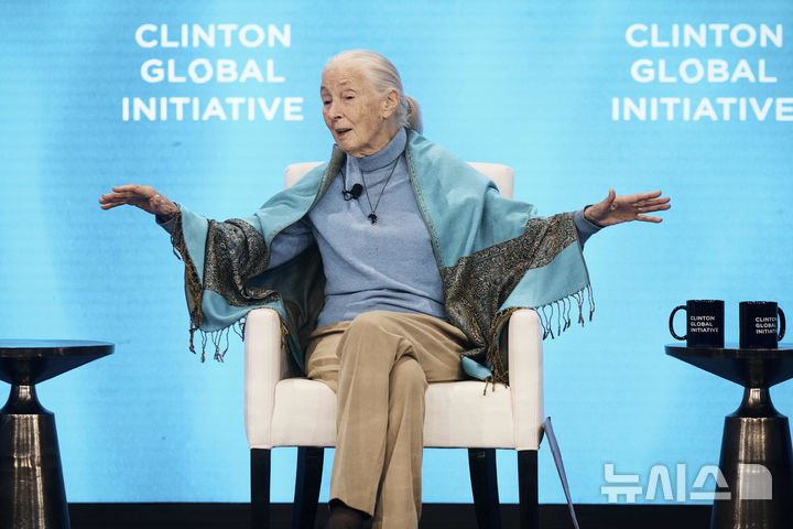 [뉴욕=AP/뉴시스] 세계적 영장류학자이자 인류학자인 제인 구달 박사가 지난해 9월 24일(현지 시간) 미국 뉴욕에서 열린 클린턴 글로벌 이니셔티브 행사에서 연설하고 있다. 제인구달연구소는 1일 오전 구달 박사가 캘리포니아에서 별세했다고 밝혔다. 2025.10.02.