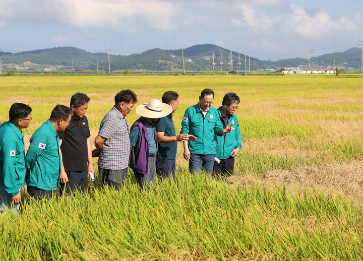 [해남=뉴시스] 벼멸구 방제현장 방문. (사진=해남군 제공) 2024.09.25. photo@newsis.com *재판매 및 DB 금지