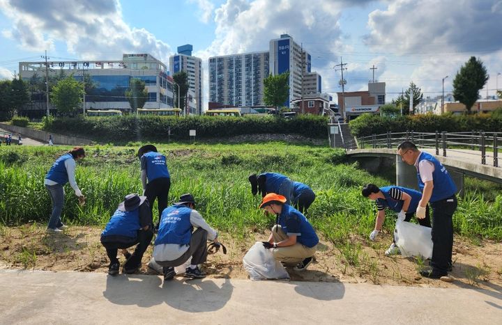 [원주=뉴시스] 원주천 플로깅 봉사 활동. (사진=한국도로공사 강원본부 제공) 2024.09.26. photo@newsis.com *재판매 및 DB 금지