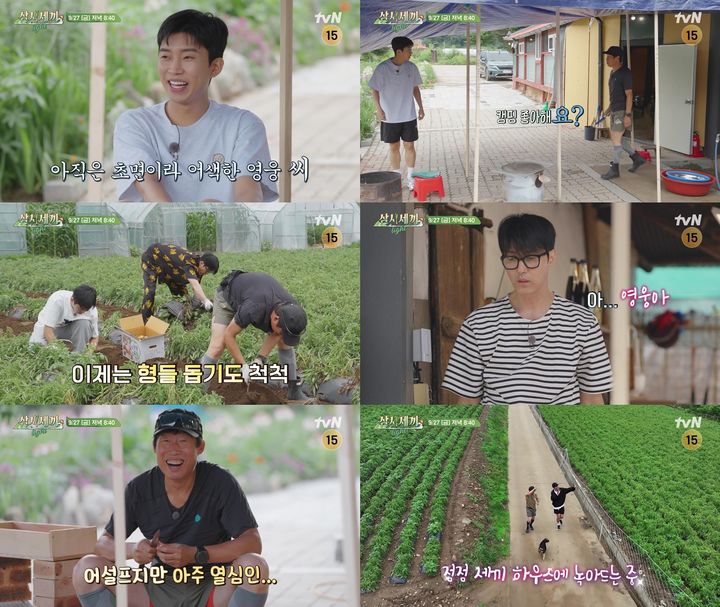 [서울=뉴시스] tvN 예능물 '삼시세끼 라이트(Light)'가 27일 오후 8시 40분 방송된다. (사진= tvN 예능물 '삼시세끼 라이트(Light)' 제공) 2024.09.27. photo@newsis.com *재판매 및 DB 금지