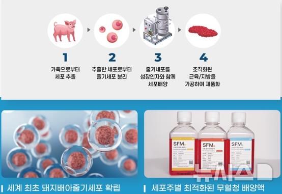 [세종=뉴시스]2024 농식품 창업콘테스트 대상은 대체 단백질 식품소재인 세포배양식품을 생산하는 '스페이스에프'가 차지했다.사진은 새로운 대체 단백질 식품 소재인 '세포배양식품'을 만드는 과정의 모습.(사진=농식품부 자료 캡쳐)