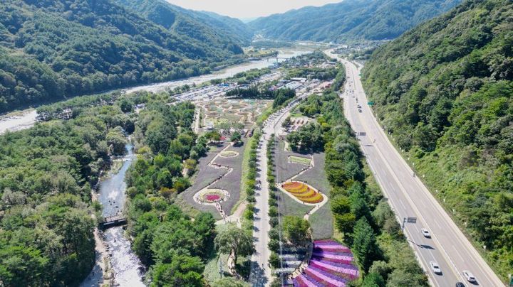 [인제=뉴시스] 30일 인제군(군수 최상기)은 '2024 인제 가을꽃축제' 개장 첫날 1만4000여명이 방문했다고 밝혔다. 인제군 제공. *재판매 및 DB 금지