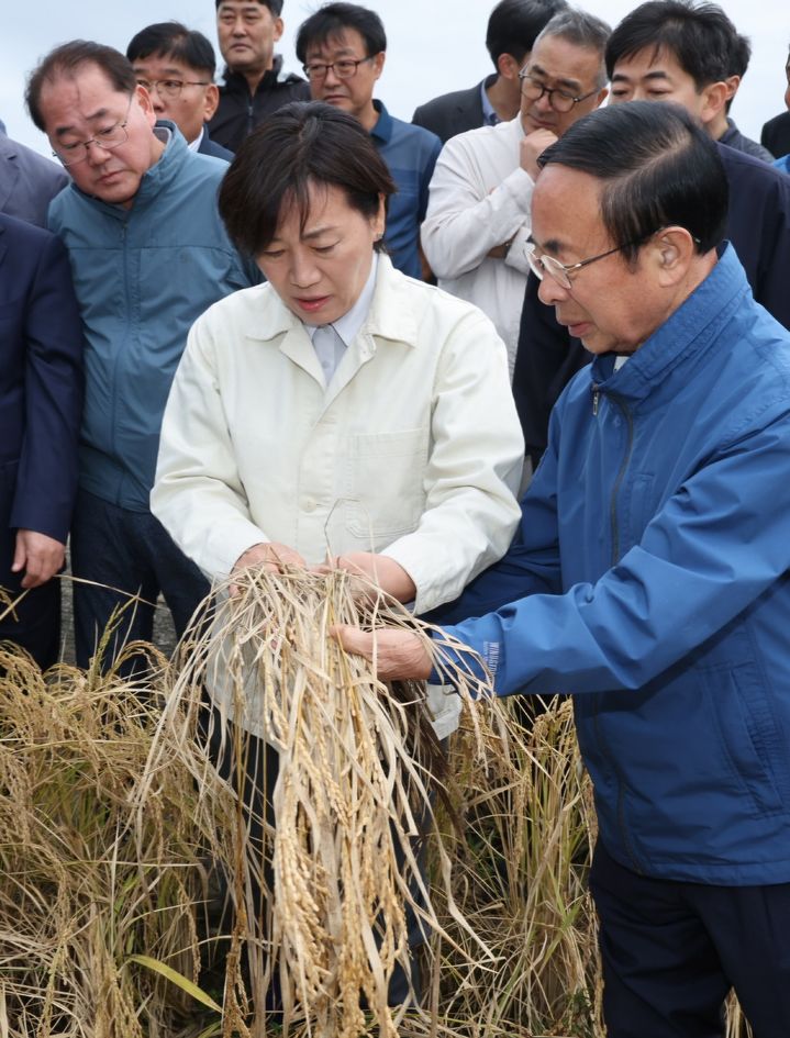 [서울=뉴시스] 전신 기자 = 송미령 농림축산식품부 장관이 1일 전북 임실의 벼멸구 피해현장을 방문해 심민 임실군수 등과 함께 수확기 작황과 피해 상황을 점검하고 있다. (사진=농림축산식품부 제공)  2024.10.01. photo@newsis.com *재판매 및 DB 금지