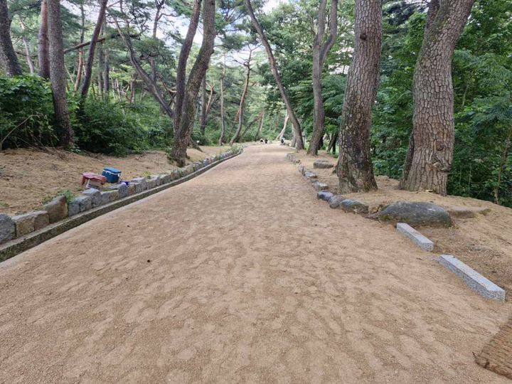 [양산=뉴시스] 안지율 기자 = 무풍한송로 정비공사 완료. (사진=양산시 제공) 2024.10.02. photo@newsis.com *재판매 및 DB 금지