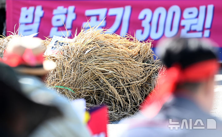 [무안=뉴시스] 김혜인 기자 = '쌀값보장! 재난대책 수립! 광주전남농민대회'가 열린 2일 오후 전남 무안군 전남도청 앞에 벼멸구 피해로 메마른 볏단이 놓여있다. 2024.10.02. hyein0342@newsis.com