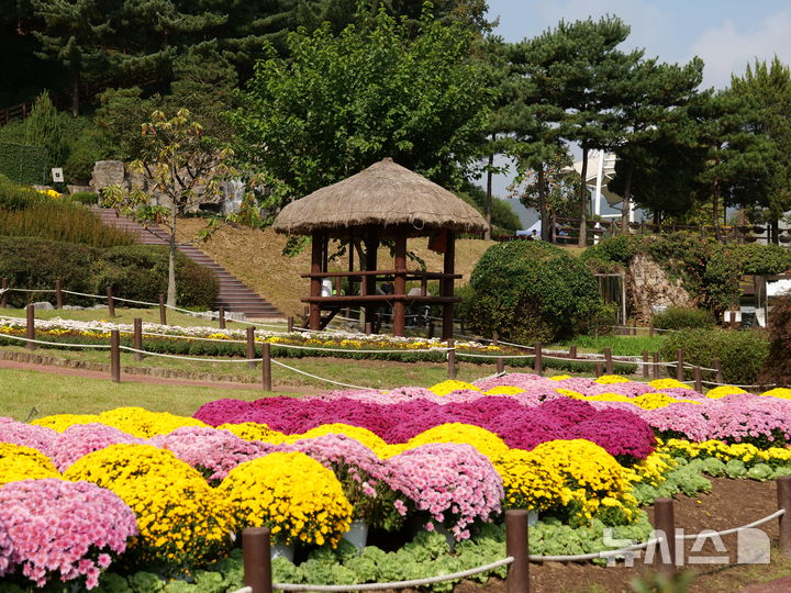 [용인=뉴시스]용인농촌테마파크의 가을 풍경(사진제공=용인시농업기술센터)