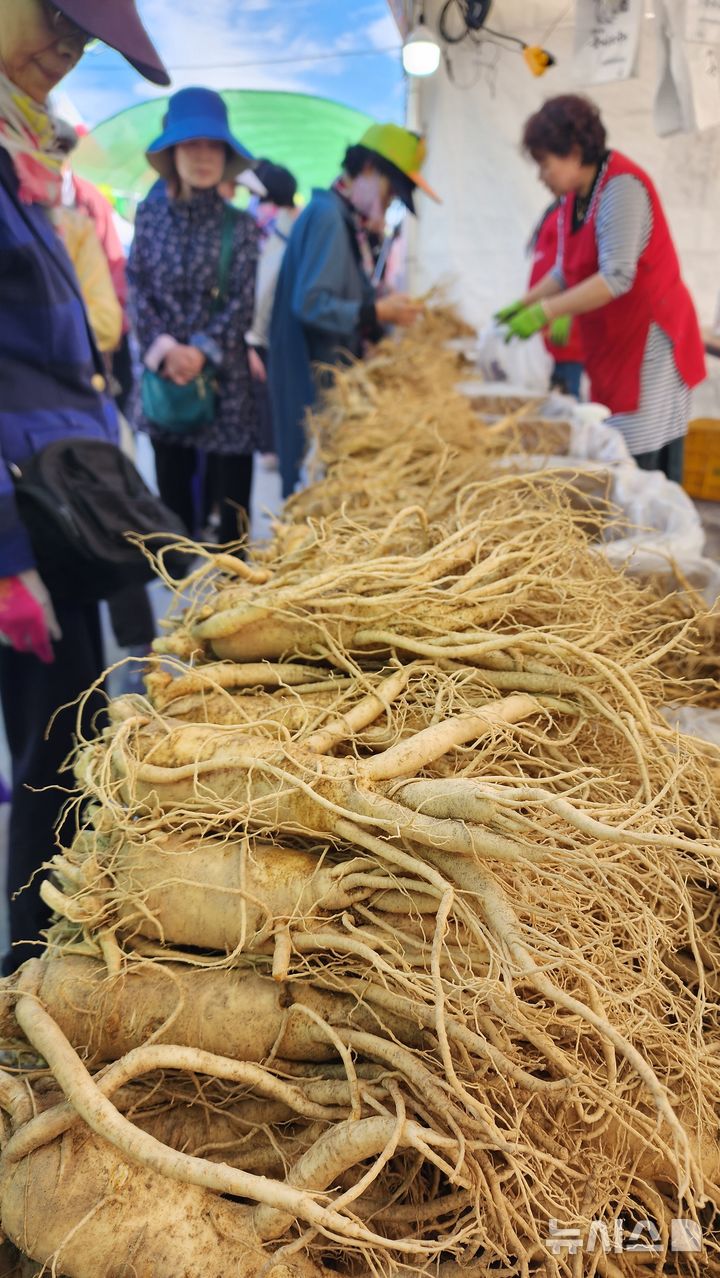  [영주=뉴시스] 김진호 기자 = '2024 경북영주 풍기인삼축제'가 개막한 5일 풍기읍 남원천변 행사장에 풍기인삼을 구매하려는 인파로 북적이고 있다. 2024.09.06 kjh9326@newsis.com