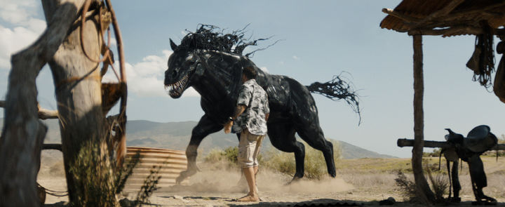 [서울=뉴시스] '베놈: 라스트 댄스' 스틸. (사진=소니 픽쳐스 제공) 2024.10.07. photo@newsis.com  *재판매 및 DB 금지