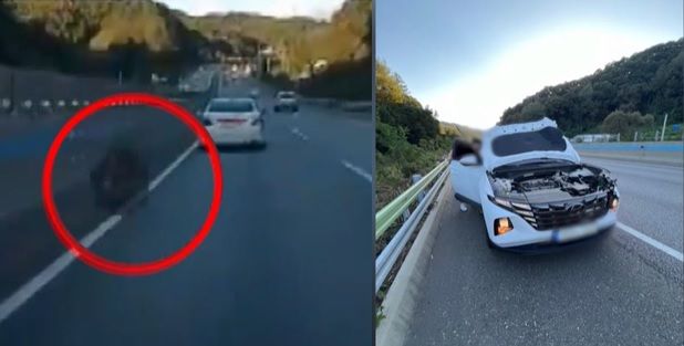 지난달 30일 오후 강원 횡성군 영동고속도로에서 30대 남성 A씨가 몰던 승용차로 건너편에서 타이어가 날아들었다. (사진=SBS 보도화면 캡처) *재판매 및 DB 금지