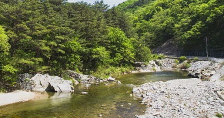 [인제=뉴시스] 7일 인제군(군수 최상기)은 지난 8월 강원지역 18개 시․군 가운데 가장 높은 관광객 증가율을 기록해 인제군이 추진하는 ‘1000만 관광도시 조성’에 탄력을 받고 있다고 밝혔다. 사진은 인제 진동계곡. 인제군 제공. *재판매 및 DB 금지