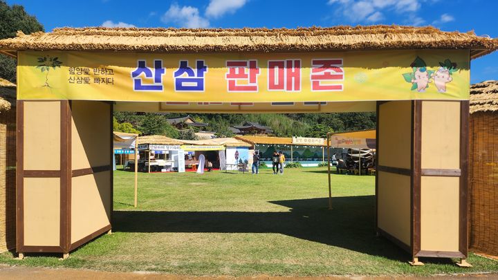 [함양=뉴시스] 서희원 기자= 제19회 함양산삼축제가 열리고 있는 함양 상림 축제장 . 2024. 10. 07. shw1881@newsis.com *재판매 및 DB 금지