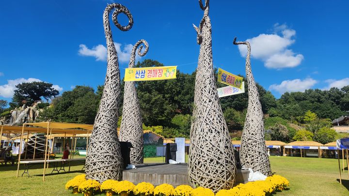 [함양=뉴시스] 서희원 기자= 제19회 함양산삼축제가 열리고 있는 함양 상림 축제장 . 2024. 10. 07. shw1881@newsis.com *재판매 및 DB 금지