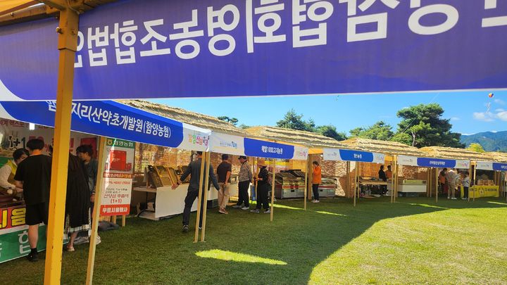 [함양=뉴시스] 서희원 기자= 제19회 함양산삼축제가 열리고 있는 함양 상림 축제장 . 2024. 10. 07. shw1881@newsis.com *재판매 및 DB 금지