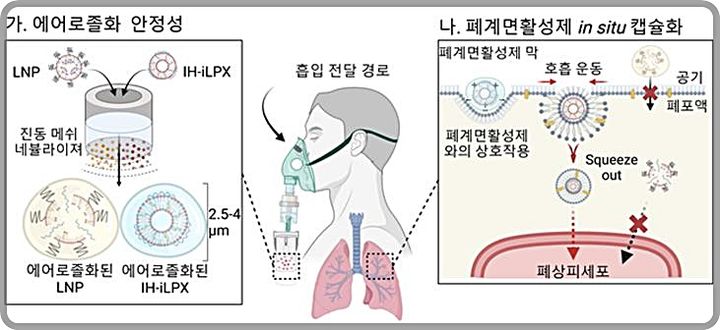 [대전=뉴시스] 흡입에 최적화된 지질 나노 복합체의 mRNA 흡입 전달 전략 모식도.(사진=KAIST 제공) *재판매 및 DB 금지