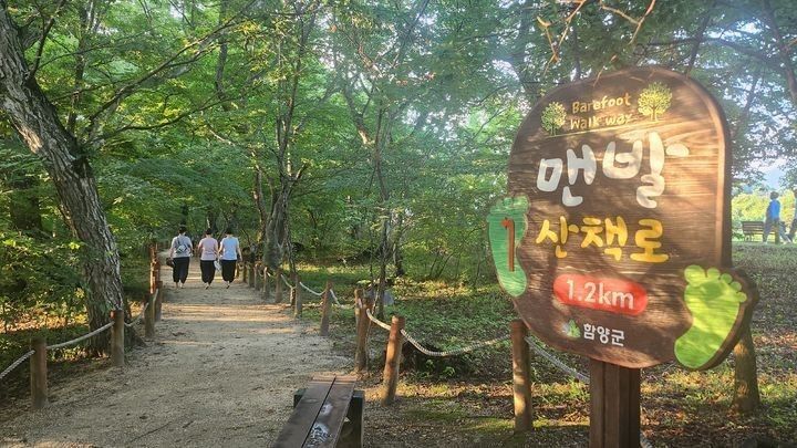 [거창=뉴시스] 함양 상림 숲 맨발 걷기 (사진=뉴시스 DB).photo@newsis.com *재판매 및 DB 금지 *재판매 및 DB 금지