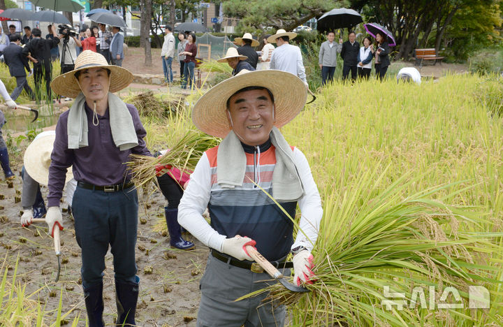 [울산=뉴시스] 배병수 기자 = 김두겸 울산시장이 7일 오후 시청 생활정원 내 조성한 텃논에서 벼 베기 행사를 하고 있다. 벼는 지난 5월 16일 김두겸 시장과 공무원, 농업단체가 함께 모내기한 지 5개월 만에 수확하는 것이다.. 2024.10.07.bbs@newsis.com.