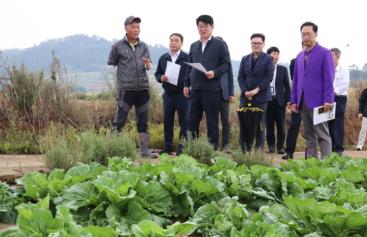 [서울=뉴시스] 추상철 기자 = 권재한 농촌진흥청장이 7일 전남 신안군 가을 배추 재배 단지를 방문해 생육 상황을 점검하고 있다. (사진= 농촌진흥청 제공) 2024.10.07. photo@newsis.com *재판매 및 DB 금지