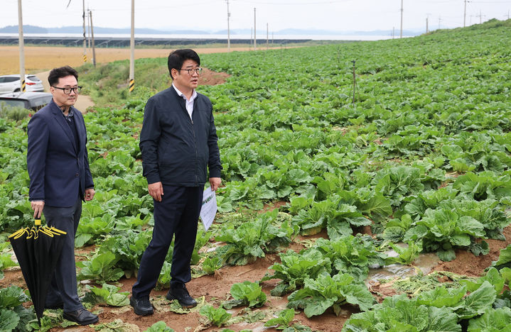 [서울=뉴시스] 추상철 기자 = 권재한 농촌진흥청장이 7일 전남 신안군 가을 배추 재배 단지를 방문해 생육 상황을 점검하고 있다. (사진= 농촌진흥청 제공) 2024.10.07. photo@newsis.com *재판매 및 DB 금지