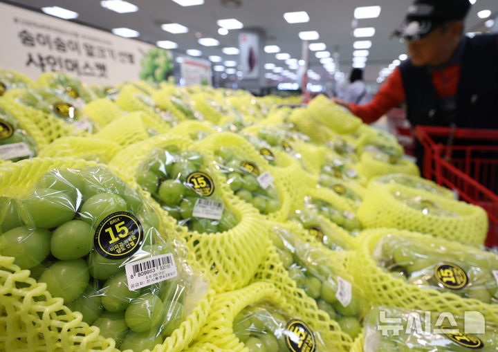 [서울=뉴시스] 김금보 기자 = 사진은 지난해 10월 8일 서울시내 한 대형마트에서 손님이 샤인머스캣 판매 코너를 살펴보고 있는 모습. 2024.10.08. kgb@newsis.com