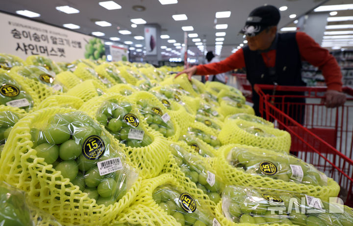[서울=뉴시스] 김금보 기자 = 서울시내 한 대형마트에서 손님이 과일코너를 살펴보고 있다. 2024.10.08. kgb@newsis.com