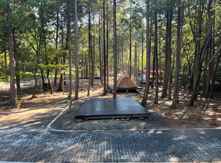 [대전=뉴시스] 야영장 시설개선사업이 완료된 국립남해편백자연휴양림의 모습.(사진=국립자연휴양림관리소 제공) *재판매 및 DB 금지