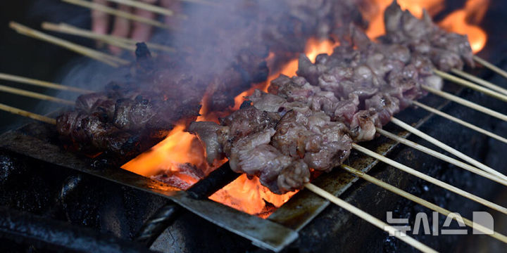 [서울=뉴시스] 인도네시아 휴양지 발리의 대표 음식 사테(꼬치구이)가 닭고기를 가장한 개고기로 만들어진 것으로 드러났다. (사진=Animals Australia)