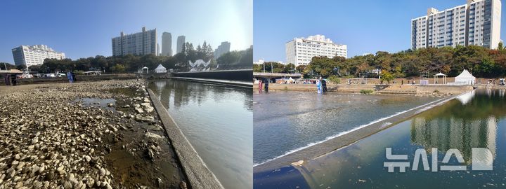 [성남=뉴시스] 성남시가 카약체험을 위해 가동보를 작동한 후 탄천하류 일부 구간이 바닥을 드러낸 모습(사진=성남환경운동연합 제공)과 4시간이 지난 후 정상적으로 흐르고 있는 탄천하류 (사진=성남시 제공)